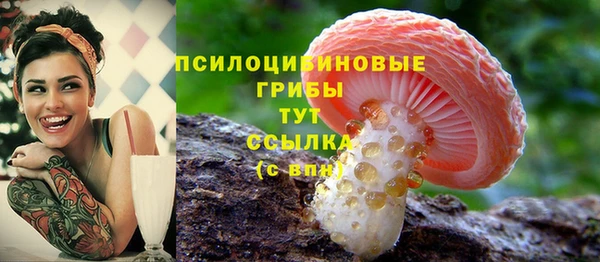 ALPHA PVP Армянск
