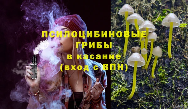 тгк Аркадак